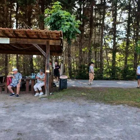 Kamp alanı Les Pins Du Soleil - Mobil-home 3 Pieces 4 Personnes Climatise + Tv Mae-1061 Saint-Paul-lès-Dax