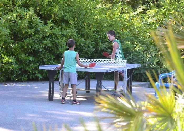 Les Pins Du Soleil - Mobil-home 3 Pieces 4 Personnes Climatise - Tv Mae-1061 Saint-Paul-lès-Dax